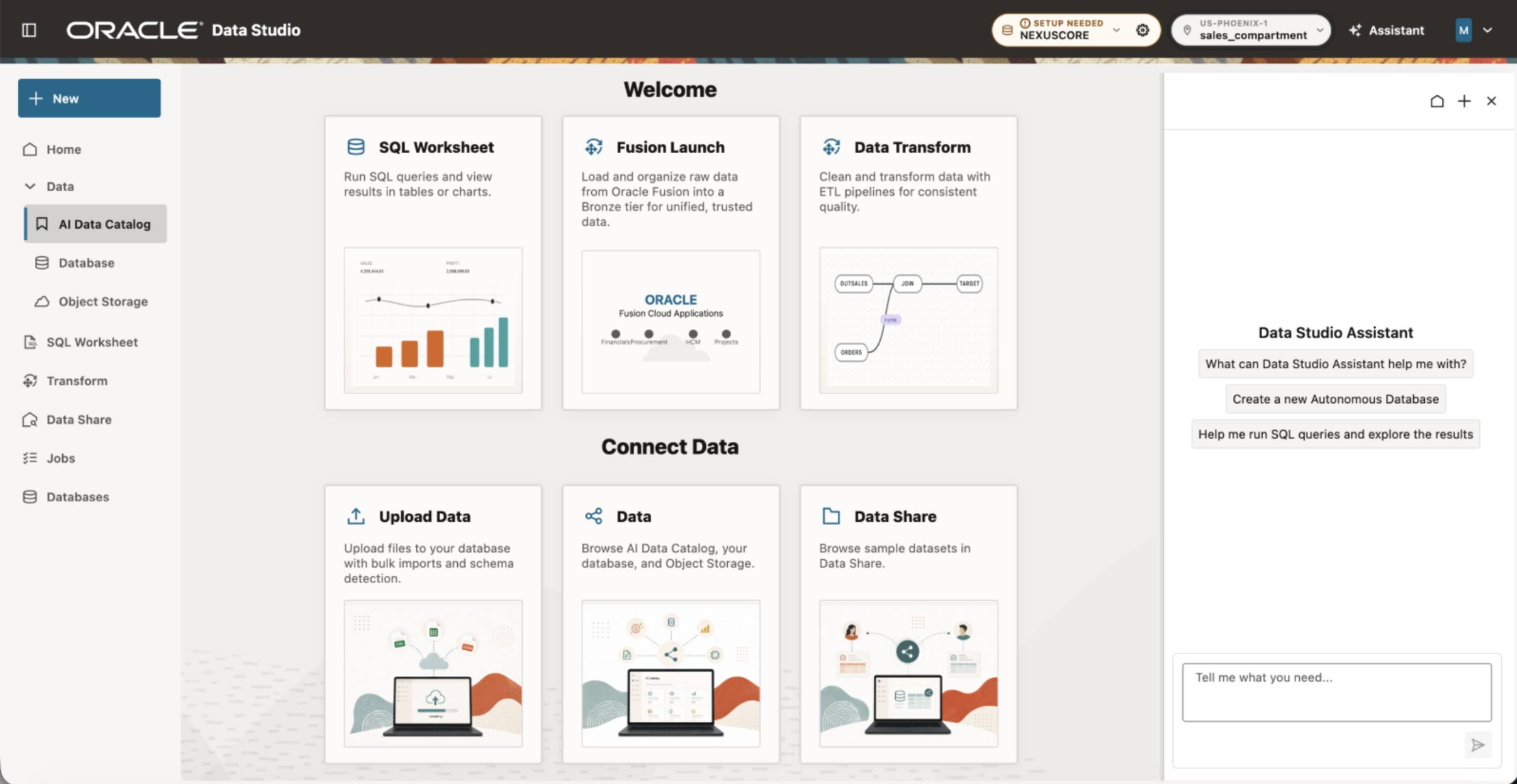 Interfaz de Oracle Data Studio con Data Studio Assistant