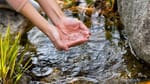 Samsung Electronics publica su Informe de Sostenibilidad 2026 reforzando la reposición de agua