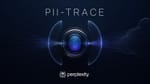 Perplexity presenta PII-TRACE y un detector local de datos personales para conversaciones extensas