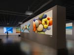 ViewSonic lanza nuevos proyectores láser para grandes espacios en Latam