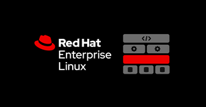 Red Hat lanza al mercado Red Hat Enterprise Linux for Business Developers
