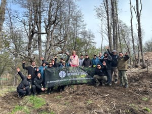 Epson y Reforestemos: 5 años sembrando futuro en la Patagonia chilena