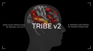 Meta presenta TRIBE v2, un modelo predictivo para anticipar cómo responde el cerebro ante estímulos complejos
