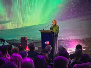 Sofía Karlberg, embajadora de Suecia en Chile: “Queremos  crear soluciones suecochilenas para el todo el mundo”