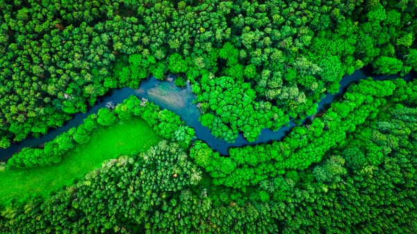 Hacia un futuro más verde: Hitachi Vantara publica su Informe de Sostenibilidad de 2024
