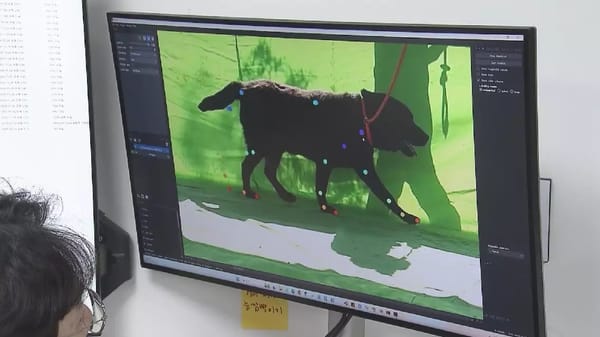 Inteligencia Artificial y Pet-Tech: La apuesta de la startup Elevenliter en el Samsung C-Lab de CES 2026